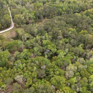 17-DJI_20260403151247_0071_D