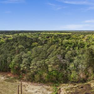 21-001_0081_pano
