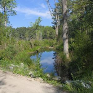 Ground Site 9 Pond from Kearns Alt 1
