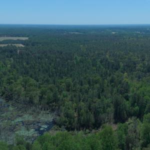 Photo #6 of Sr 1226, Aberdeen, NC 26.7 acres