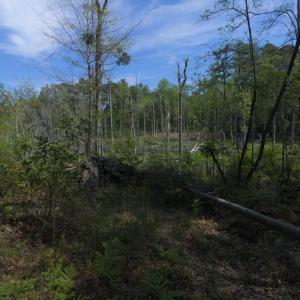 Ground Site 13 North Trail End