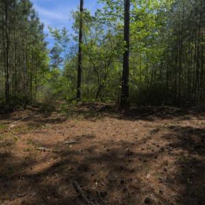 Ground Site 12 Trail Intersection N Faci