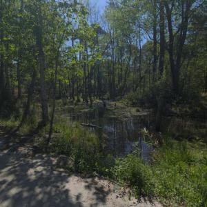 Ground Site 10 Facing South