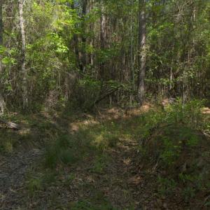 Ground Site 11 Access East Alt