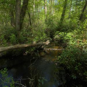 Ground Site 17 NW Creek Alt