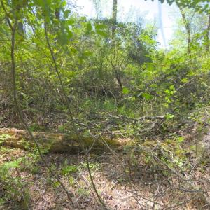 Ground Site 18 Rugged Terrain Context