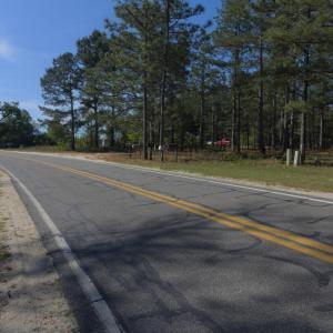 Ground Site 1 Strother Frontage S Face a