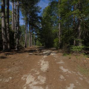 Ground Site 7 Kearns Ln