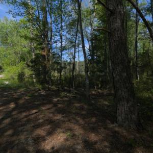 Ground Site 9 Pond from Kearns