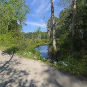 Ground Site 9 Pond from Kearns alt