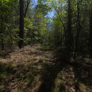 Ground Site 11 Access East Alt (2)