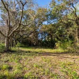 225MiddleSoundGround3