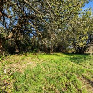 225MiddleSoundGround2