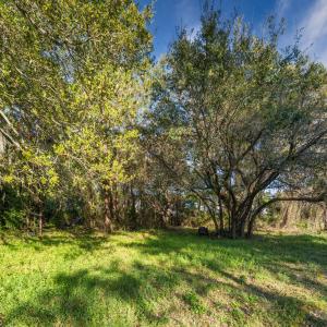 225MiddleSoundGround4