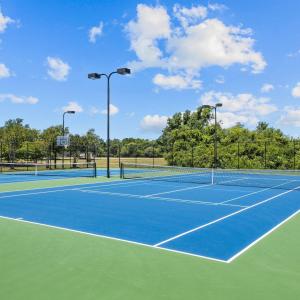 5-web-or-mls-1S3A4869