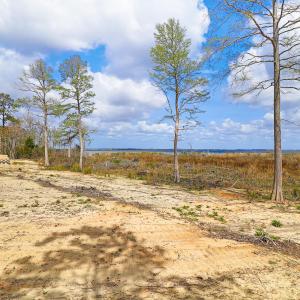 Waterfront Lot in Neuse Point East-12