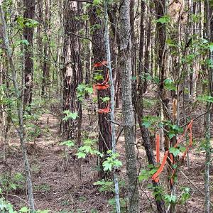 Right Markers