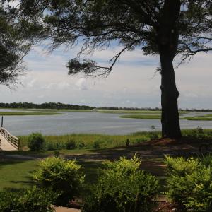 view (2)