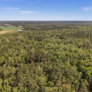 5-DJI_20260403155730_0100_D