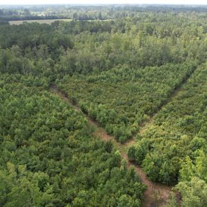 dji_fly_20230710_103806_578_168900019731