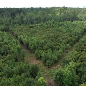 dji_fly_20230710_103840_579_168900019325