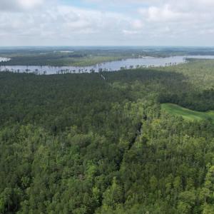 dji_fly_20230710_103616_575_168900020937