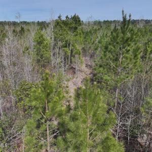 DJI_20260408155109_0056_D