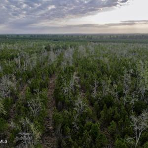 DJI_20260401083124_0975_D (1)