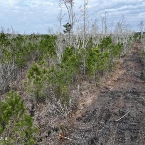 DJI_20260401083207_0978_D