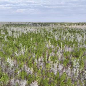 DJI_20260401083147_0977_D