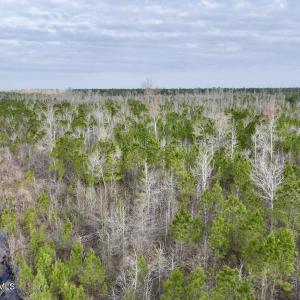 DJI_20260401083352_0984_D