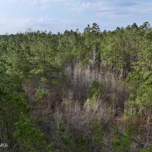 DJI_20260401083817_0995_D
