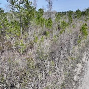 DJI_20260408155122_0057_D