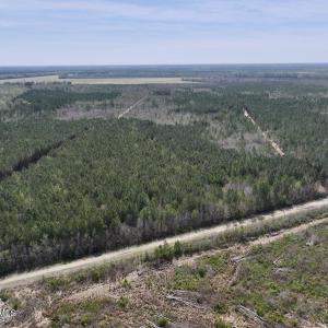 Photo #1 of Guinea Mill, Ernul, NC 55.0 acres