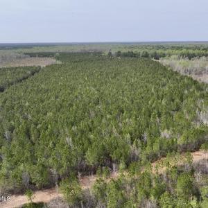 DJI_20260408153751_0046_D