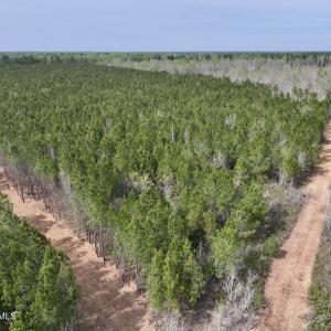 DJI_20260408153734_0044_D