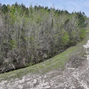 DJI_20260408153900_0050_D