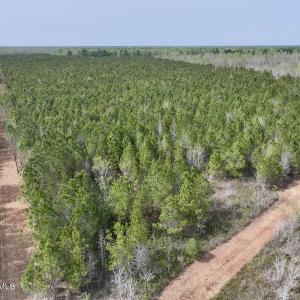 DJI_20260408153738_0045_D