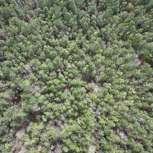 DJI_20260408153822_0048_D