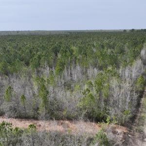 DJI_20260408153807_0047_D