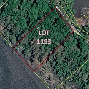 Lot 1193