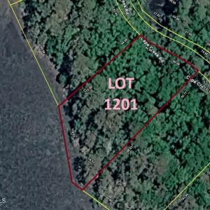 Lot 1201