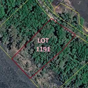 Lot 1191