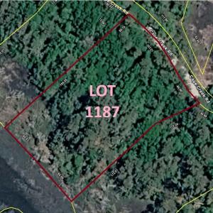 Lot 1187