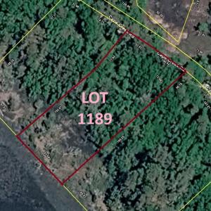 Lot 1189