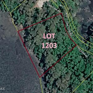 Lot 1203