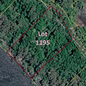 Lot 1195