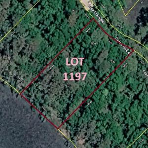 Lot 1197