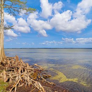 Waterfront Lot in Neuse Point East