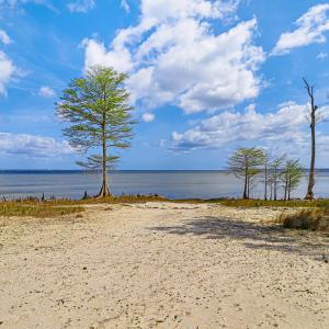 Waterfront Lot in Neuse Point East